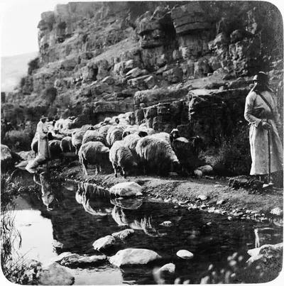 Fotografia antiga em preto e branco de um pastor com seu cajado conduzindo ovelhas junto a um riacho de águas tranquilas, ao pé de um paredão de pedra